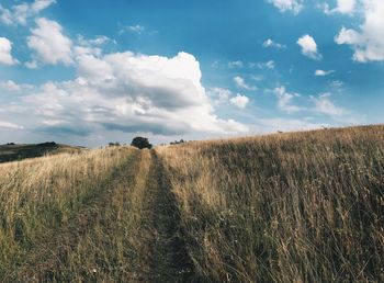 Scenic view of field against sky