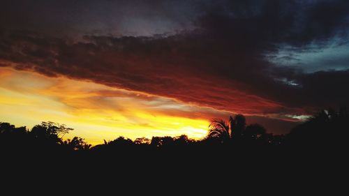 Silhouette trees against dramatic sky during sunset