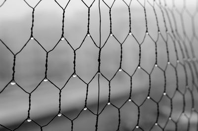 Close-up of field seen through chainlink fence