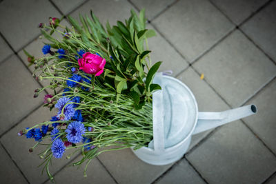 High angle view of purple flowering plant on table