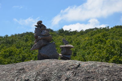 Statue on rock by trees against sky