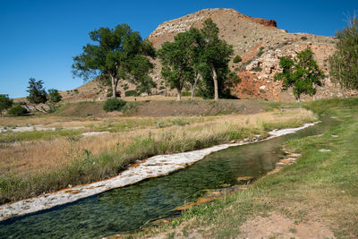 Scenic view of field against clear blue sky