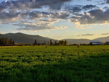 Scenic view of field against sky during sunset