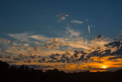 Silhouette trees against sky during sunset