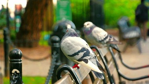 Close-up of metallic object against blurred background