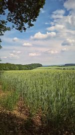 Scenic view of field against cloudy sky