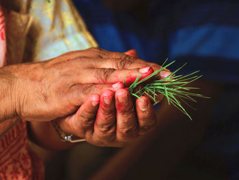 Cropped image of hand holding grass