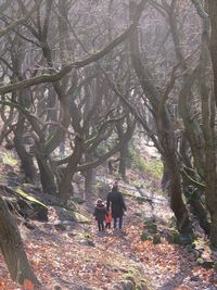 Rear view of a woman walking on tree