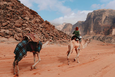 Back view of traveler sitting on camel and riding along sandstone valley with rocks in wadi rum