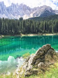 Reflection of trees in lake