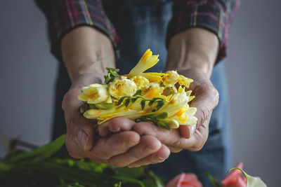 Close-up of hand holding yellow flower