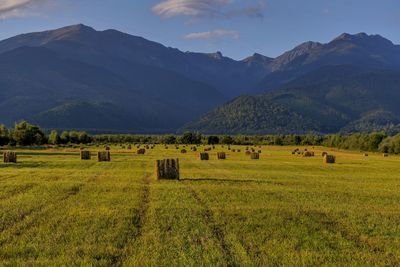 Hay bales on field by mountains against sky