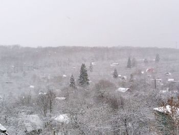 Trees on field against sky during winter