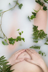 Midsection of pregnant woman making heart shape by plants on stomach