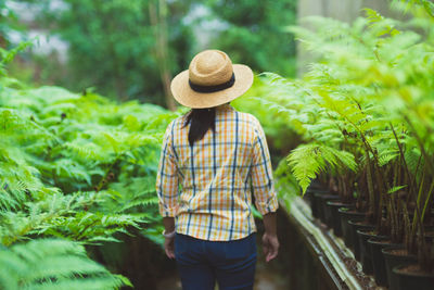 Rear view of man standing amidst plants