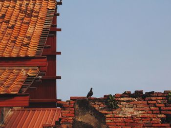 Low angle view of bird perching on roof of building against sky