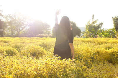 Woman standing by yellow flowers on field