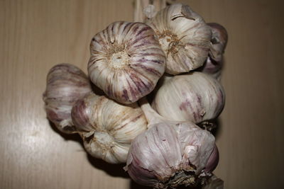 Close-up of garlic on table