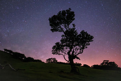 star