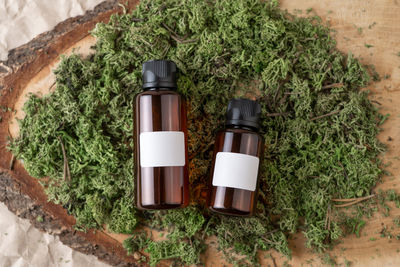 Dropper bottles of serum or oil with vitamin c with blank labels lying on a moss
