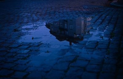 Reflection of trees in puddle