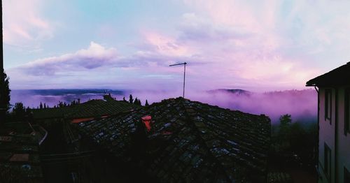 Panoramic view of trees against sky