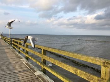 Man standing on jetty against sea