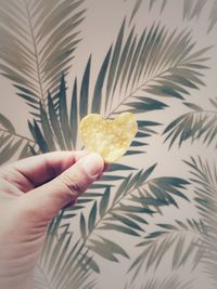 Close-up of hand holding heart shape leaf