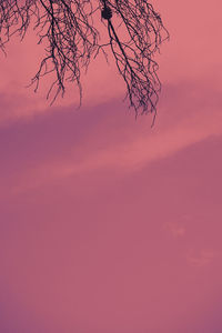 Low angle view of silhouette tree against sky during sunset