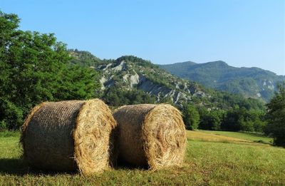 Hay bales on grassy field by mountains against clear sky
