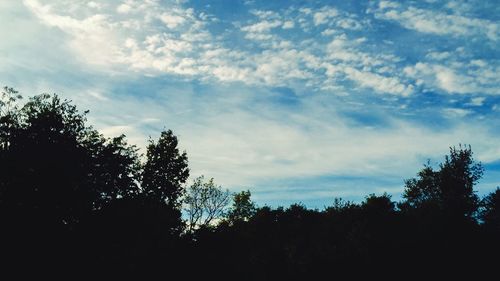 Low angle view of trees against cloudy sky