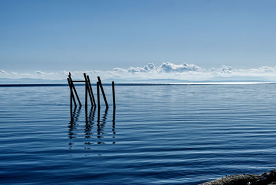 water