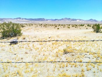 Scenic view of landscape against clear sky