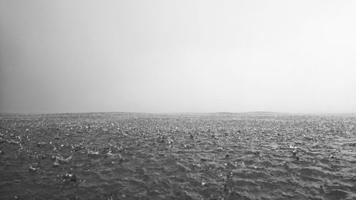 Scenic view of field against clear sky