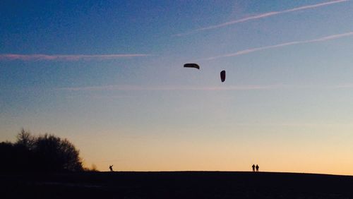 Low angle view of hot air balloons