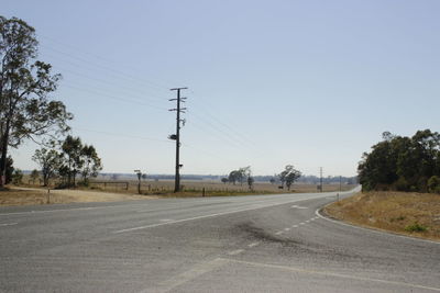 Country road along trees