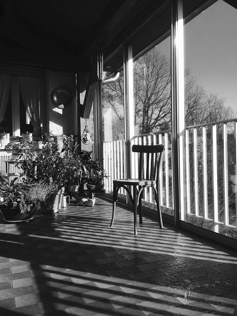 architecture, built structure, railing, indoors, window, building exterior, steps, sunlight, house, potted plant, plant, day, steps and staircases, shadow, empty, balcony, staircase, building, glass - material, door