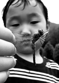Close-up of boy holding dragonfly