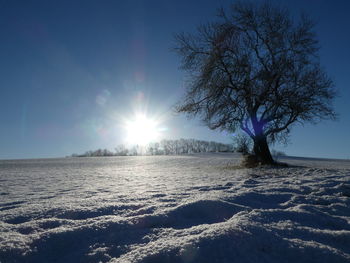 Scenic view of snow covered land against bright sun