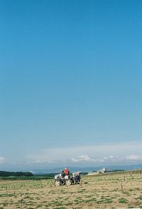 Scenic view of grassy field against sky