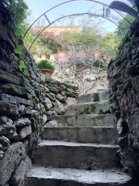 Steps amidst trees against sky