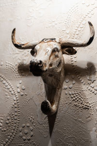 Close-up of animal sculpture on wall