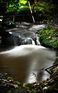 Water flowing in stream in forest