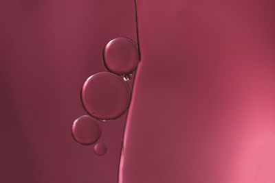 Close-up of water drop against pink wall