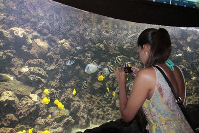 Woman photographing fishes in aquarium from mobile phone