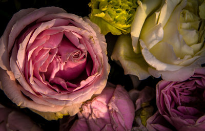 Close-up of rose bouquet