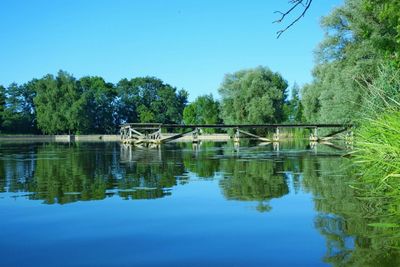 Reflection of trees in calm lake