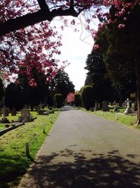 Empty road amidst flowering plants and trees against sky