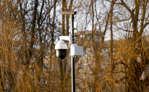Close-up of electric lamp on field in forest