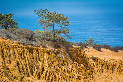 Scenic view of landscape against blue sky